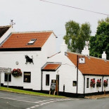 Black Bull