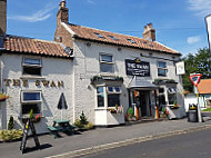 The Swan