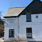 The Forest Inn