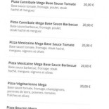 Fly Pizza
