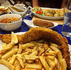 Ocean Fish