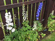 Craigend Nursery Coffee Shop