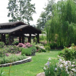 Maple Restaurant