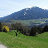 Gasthof Scheipenhof