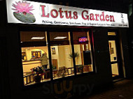 Lotus Garden