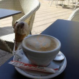 Gelateria Pinocchio