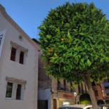 La Taperia Cerveceria De Gambrinus