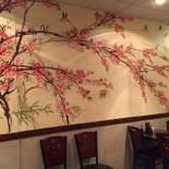 Yummy Japanese Express