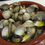 Los Castellanos