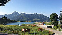 Berggasthaus Walleralm