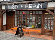 Bird Bean