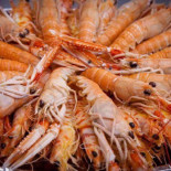 Cocedero De Mariscos El Gary