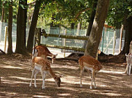 Restaurant du Parc Saint Leger Grands Felins