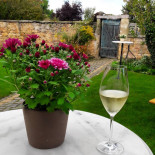 Weingut Bäder