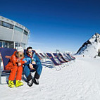 Die Jochdohle Stubaier Gletscher