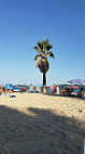 Plage Les Prairies De La Mer