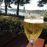 Rheinblick