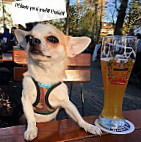 Gasthaus-Biergarten am Rothelheim