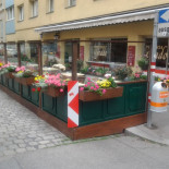 Pizzeria Grado