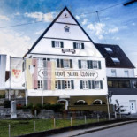 Goldener Adler