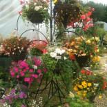 Lakers Garden Centre