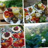 Le Jardin des Sambucs