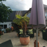 Cafe Und Wirtshaus Panorama