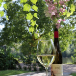 Weingut Alten