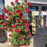 Le Festin Chez Gillou (la Guinguette)