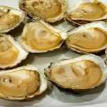 Casa Digna Marisqueria Pontevedra