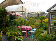 Tea Garden