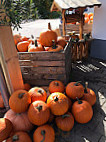 Obst Und Gemüsehof Wurbs GmbH