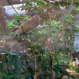 Exo Zoologischer Stadtgarten Karlsruhe