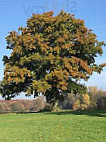 Alpakahof Und Hohe Heide Beckmann Alpakatouren Und Alpakahofladen