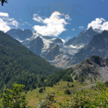 Alp'