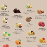 Le Celtis