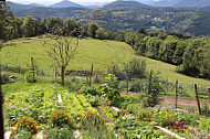 Ferme Auberge Du Promont