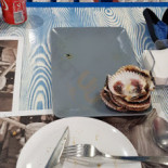 Ancora