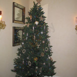 Isabella Bar