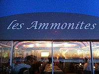 La terrasse des Ammonites