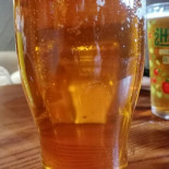 The Dam Inn