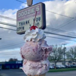 Doozies Ice Cream Place