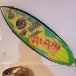 Cocotte à La Plage