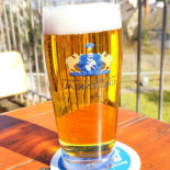 Brauerei Greifenklau