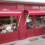 Lupa Rossa