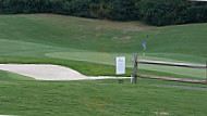 Sole On The Green