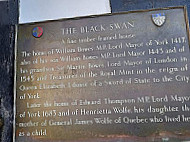 The Black Swan