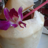 Trosy Thai