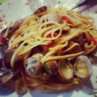 Monteleone