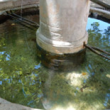 L'oasis